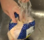 How To Wash Chicken