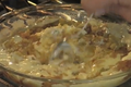 Mexican Cheese Dip