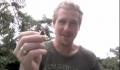 The Miracle Berry Exposed!