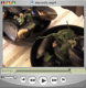 Belgian Mussels