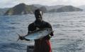 Catch It, Cook It & Eat It - Getting Cheap Seafood