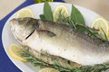 Sea Bass in a Salt Crust - Italian 