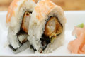 Sea Creature Rolls