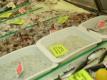 Visiting Randazzo's Seafood Market, Arthur Avenue Bronx, Ny , Episode 3 Video