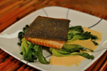 Pan Seared Salmon with Bok Choy and Sauce