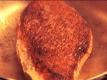 How To Sear Meat Video