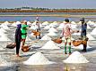 Dr. Joel Fuhrman Talks On The Dangers Of Sea Salt