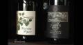 Select Your Wine