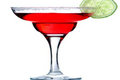 How To Make Senor Rio Prickly Pear Margatini