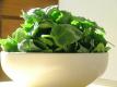 Tips to Increase the Shelf Life of Spinach