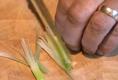 How To Shred Spring Onions