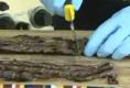 Tex-Mex Style Grilled Shrimp And Skirt Steak For Fajitas 