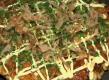 How To Make Okonomiyaki (japanese Assorted Pancake)