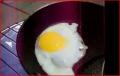 How To Make Sizzling Solar Fried Egg