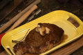 Signature Skillet Pan Seared Ribeye 