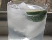 Sloe Gin Fizz