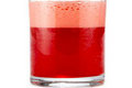 Sloe Gin Fizz Cocktail