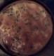 How to Make Smoked Salmon Quiche