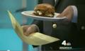 A Little Spicy, A Little Charred; The Snooki Burger - Nbc Washington