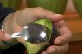 How To Cut Avocado Butter Fruits