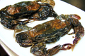 Soft Shell Crabs