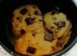 An Overview Of Solar Cooked Chocolate Chip Cookies