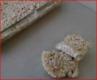 Solar Cooked Rice Krispies Treat