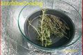 How To Make Solar Cooked Dried Herbs