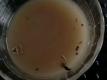 How To Make Soups Galore, My Favorite Soups Part 2