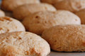 Savory Sour Dough Biscuit