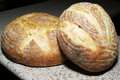 How To Make Sourdough Starter