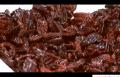 How To Make Southern Toasted Pecans