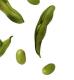 Soy Is Not Good For Health