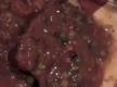 How To Make Spanish Style Daube