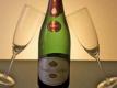 Spanish Wines (cava Region) Video