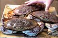How To Make Crab In Red Wine