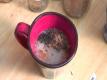 Homemade Chai Tea