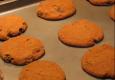 Molasses Crinkles