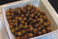Spicy Roasted Chickpea Snack