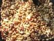 How To Make Spicy Smoked Barbecue Nuts