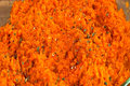 Spicy Mashed Sweet Potatoes  