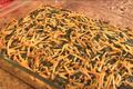 Spinach Noodle Kugel