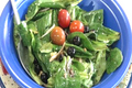 Spinach Salad Dressing 
