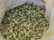 How To Sprout Moong Dal  Video