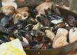 Steamed Clams and Mussels on the Grill