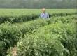 Agriculture Damages In Missisippi