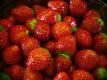 N.c. Strawberry Project Focuses On Research And Culinary Education Video