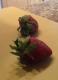 The Sexy Vegan - Quickie: How to Hull a Strawberry