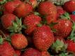 Strawberry Shrikhand