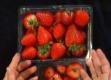 How To Extract Dna From Strawberry